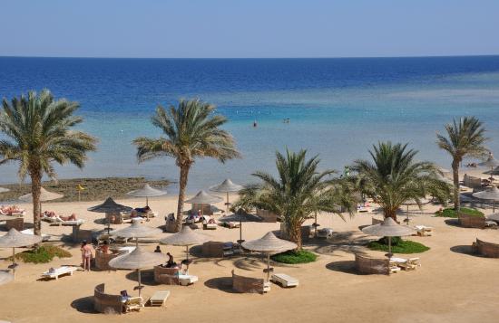 Palm-lined private beach at Shoni Bay