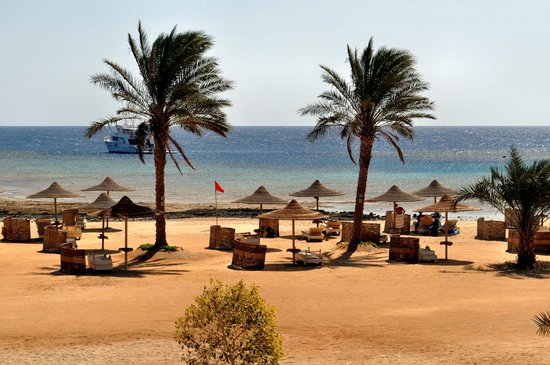 Dive boat and palms over the Red Sea